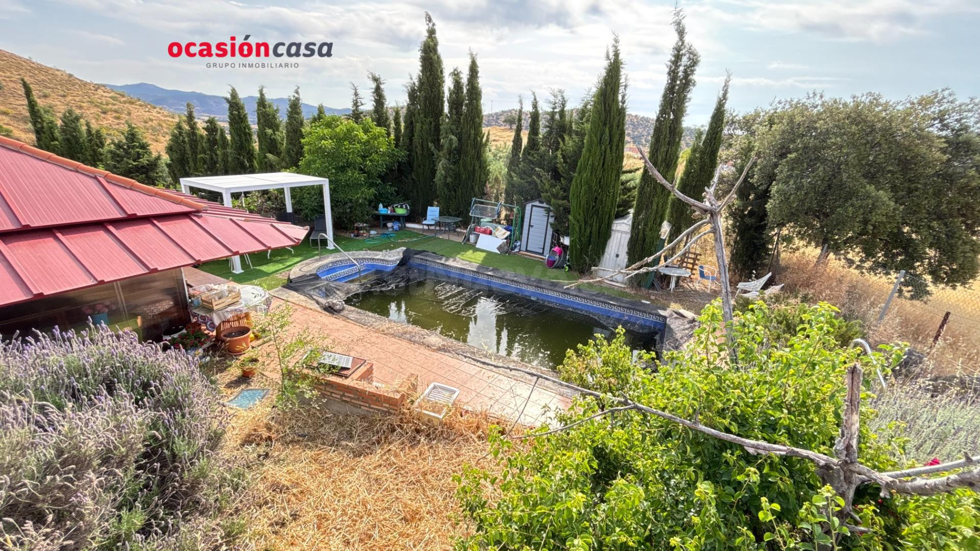 PARCELA CON VIVIENDA Y PISCINA A LA VENTA - foto 3