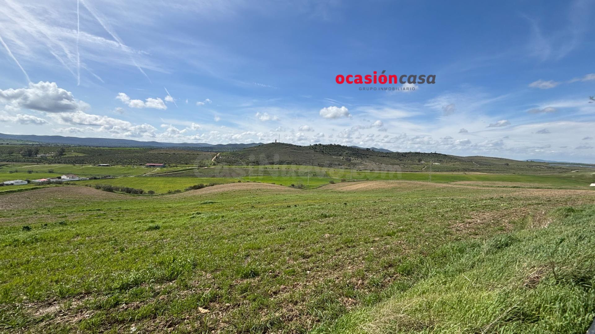 SOLAR DE 1.000 M2 A LA VENTA, DIVISIBLE EN 3 SOLARES - foto 3