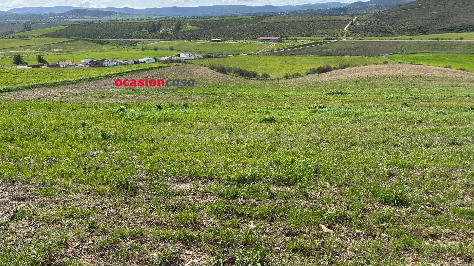SOLAR DE 1.000 M2 A LA VENTA, DIVISIBLE EN 3 SOLARES - foto 5