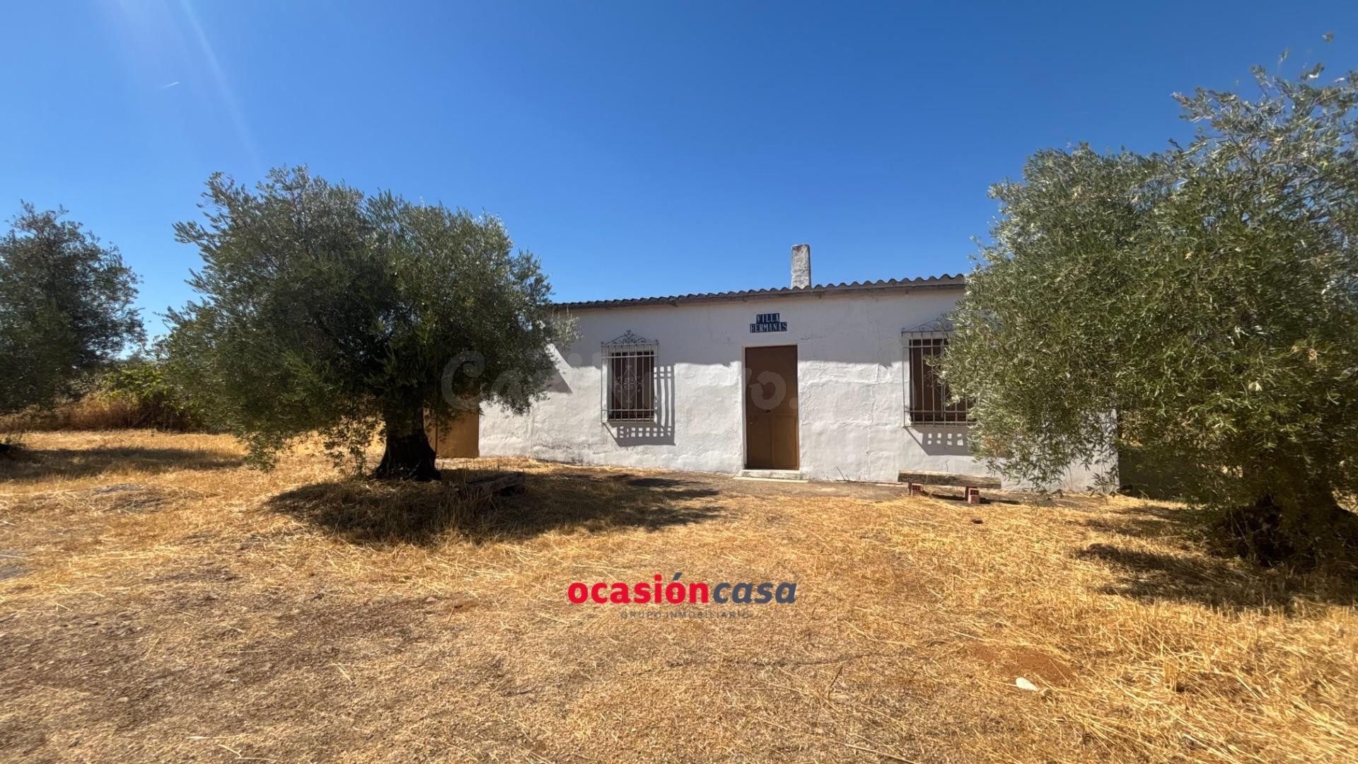 PARCELA CON CASA Y OLIVOS