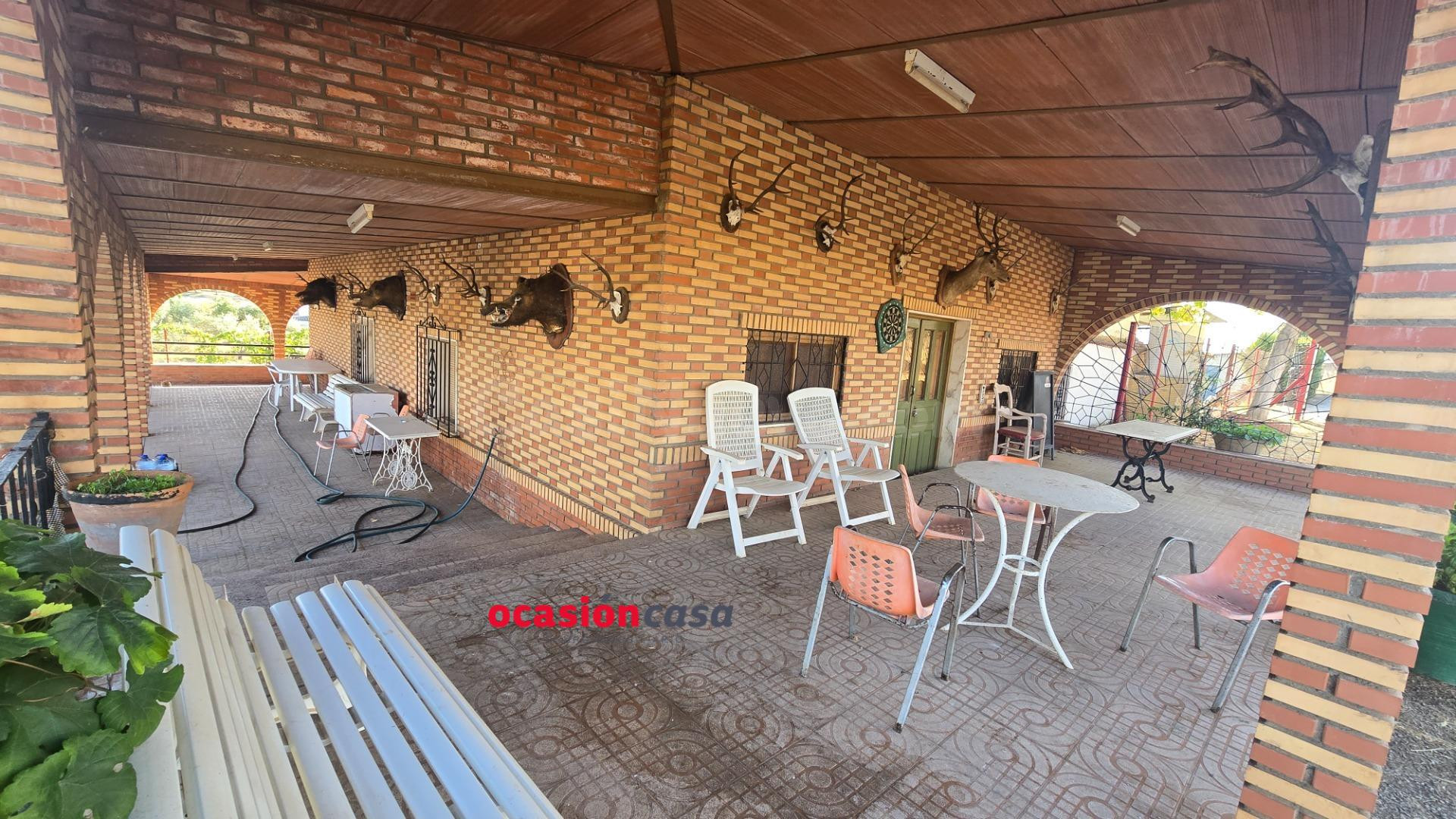 PARCELA DE SIEMBRA CON VIVIENDA A LA VENTA - foto 3