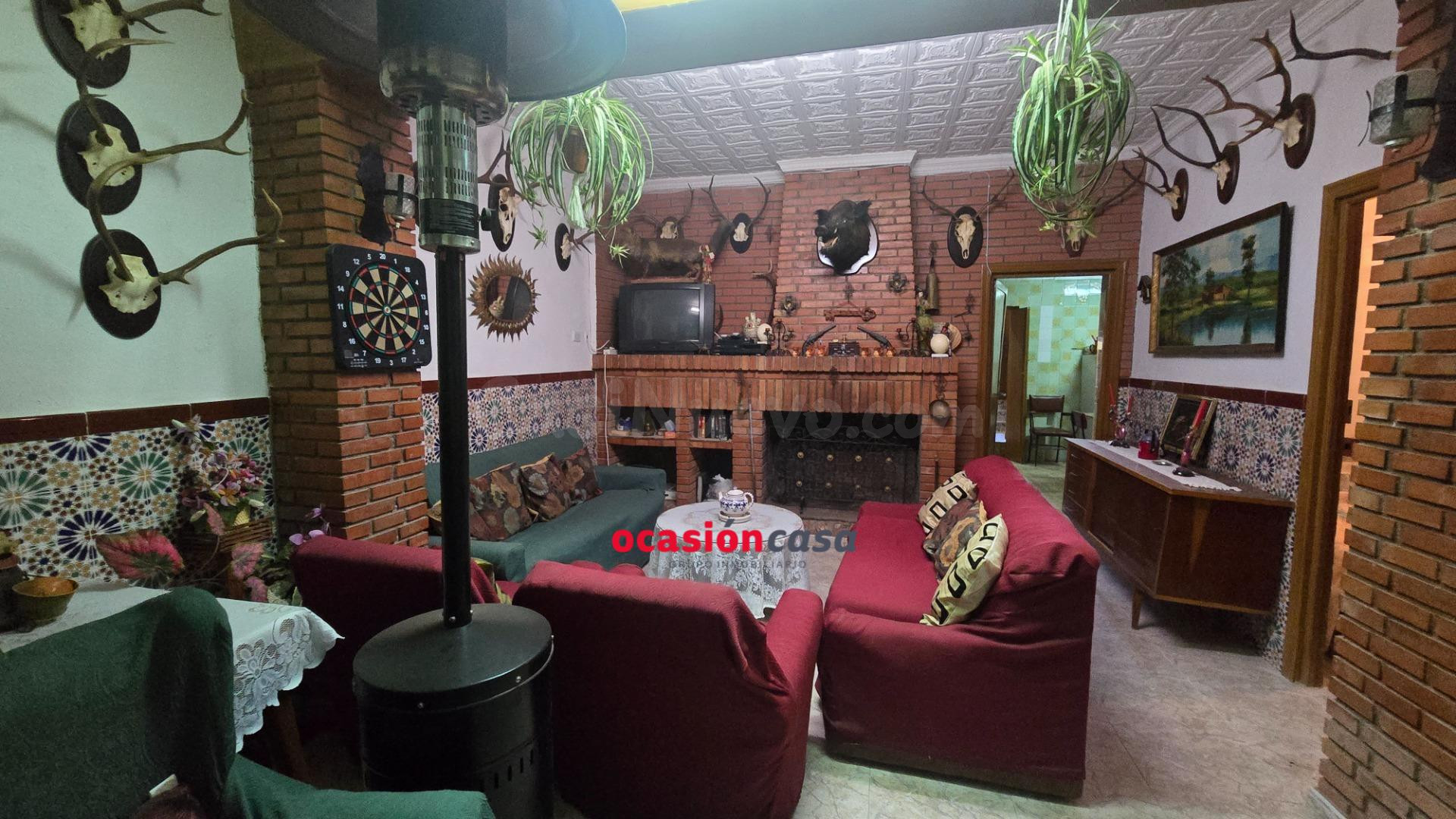 PARCELA DE SIEMBRA CON VIVIENDA A LA VENTA - foto 5