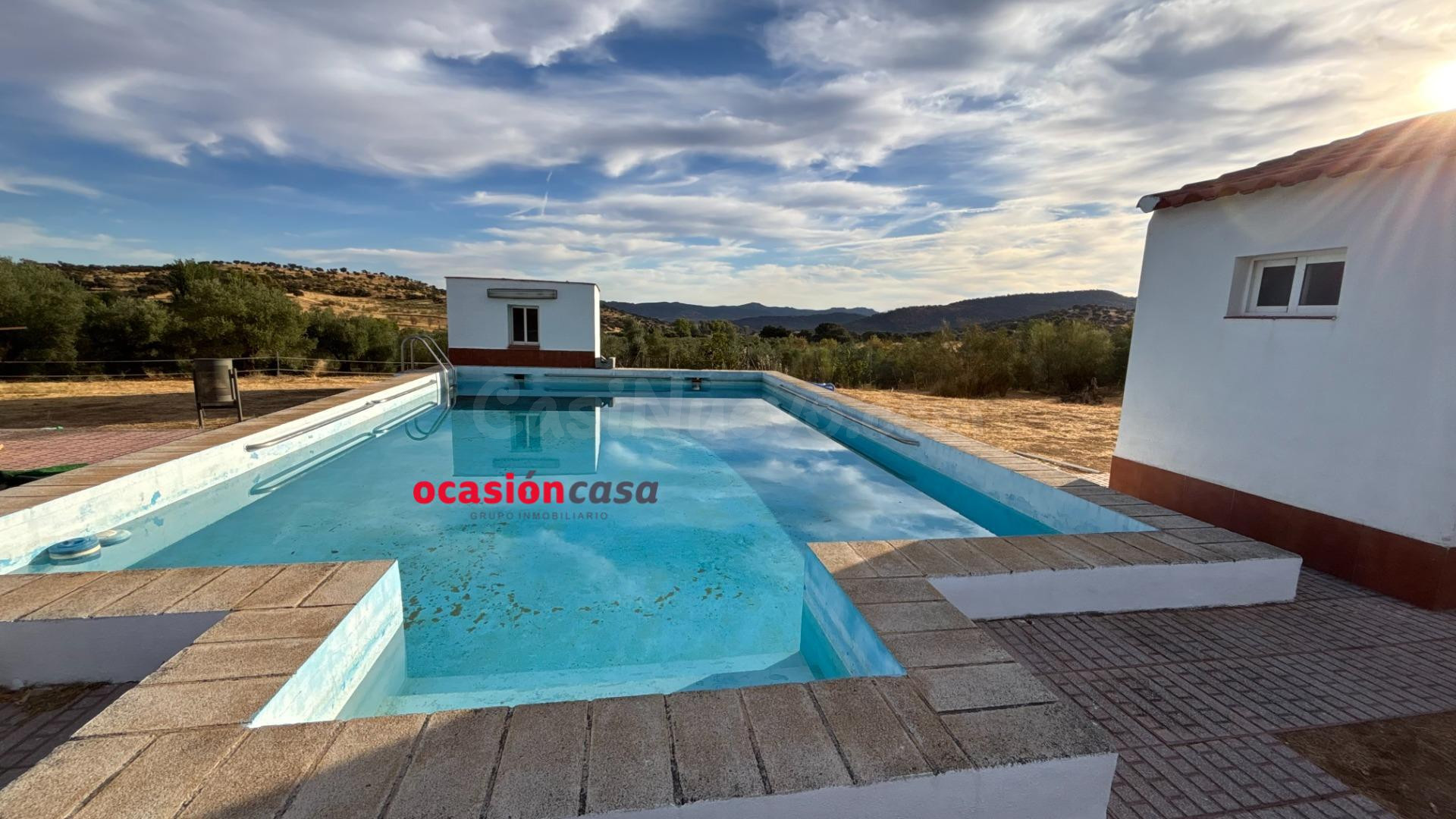PARCELA CON VIVIENDA, PISCINA Y OLIVOS