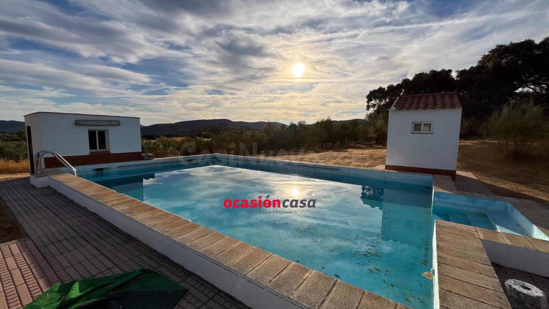 PARCELA CON VIVIENDA, PISCINA Y OLIVOS - foto 3