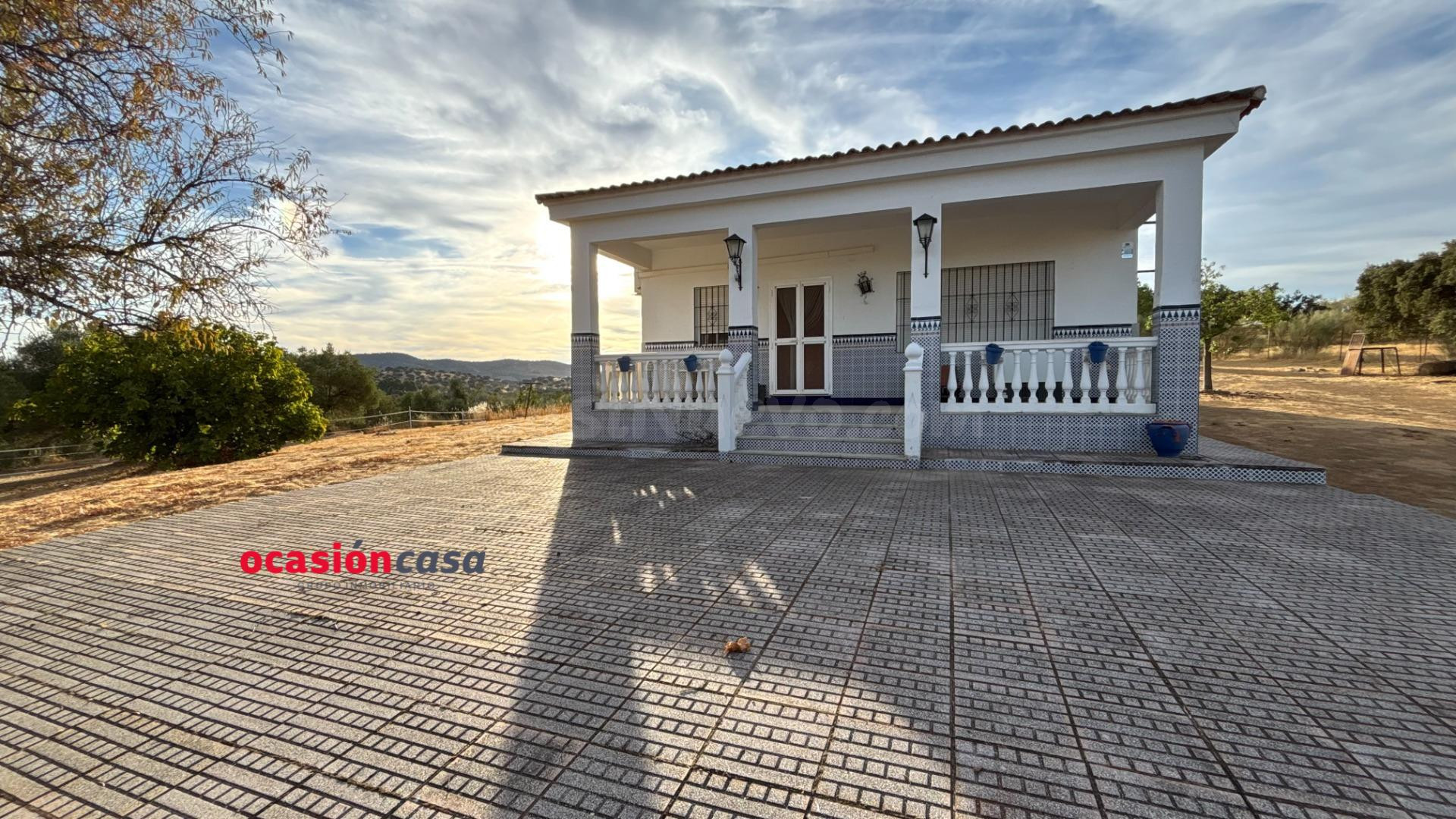 PARCELA CON VIVIENDA, PISCINA Y OLIVOS - foto 4