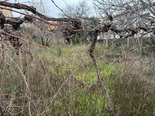 FANTÁSTICA PARCELA URBANA EN VENTA EN CAN BONASTRE - foto 3