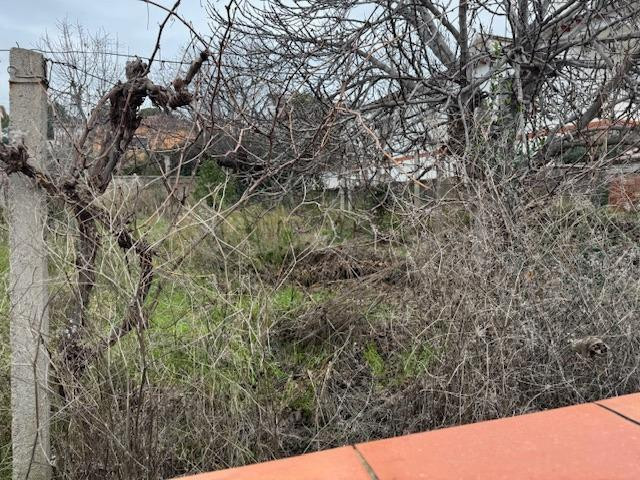 FANTÁSTICA PARCELA URBANA EN VENTA EN CAN BONASTRE - foto 5