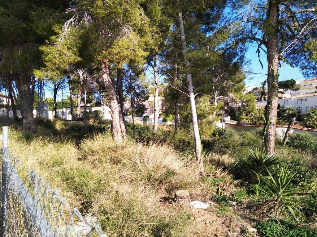 3 parcelas edificables de 800 M2 en venta en una zona tranqu
