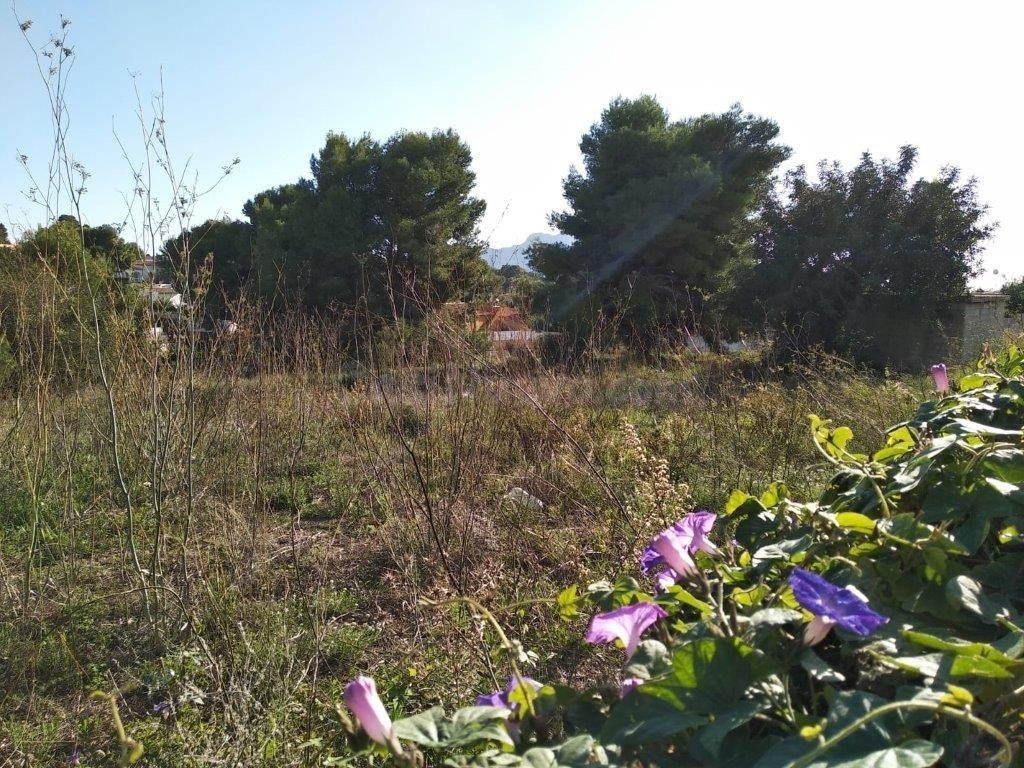 3 parcelas edificables de 800 M2 en venta en una zona tranqu - foto 2