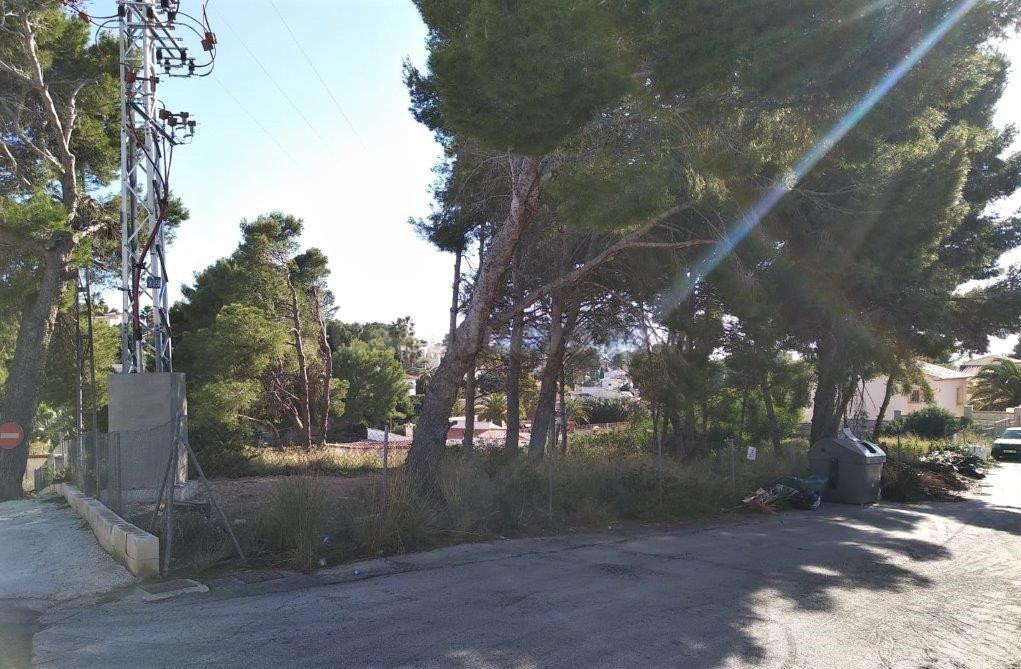 3 parcelas edificables de 800 M2 en venta en una zona tranqu - foto 3