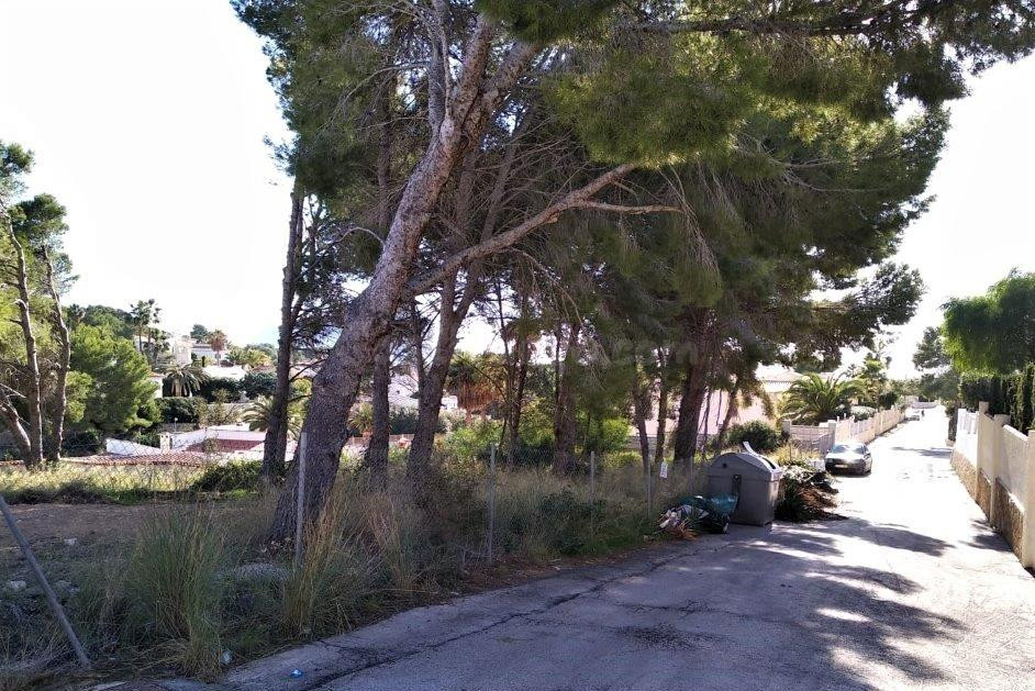 3 parcelas edificables de 800 M2 en venta en una zona tranqu - foto 4