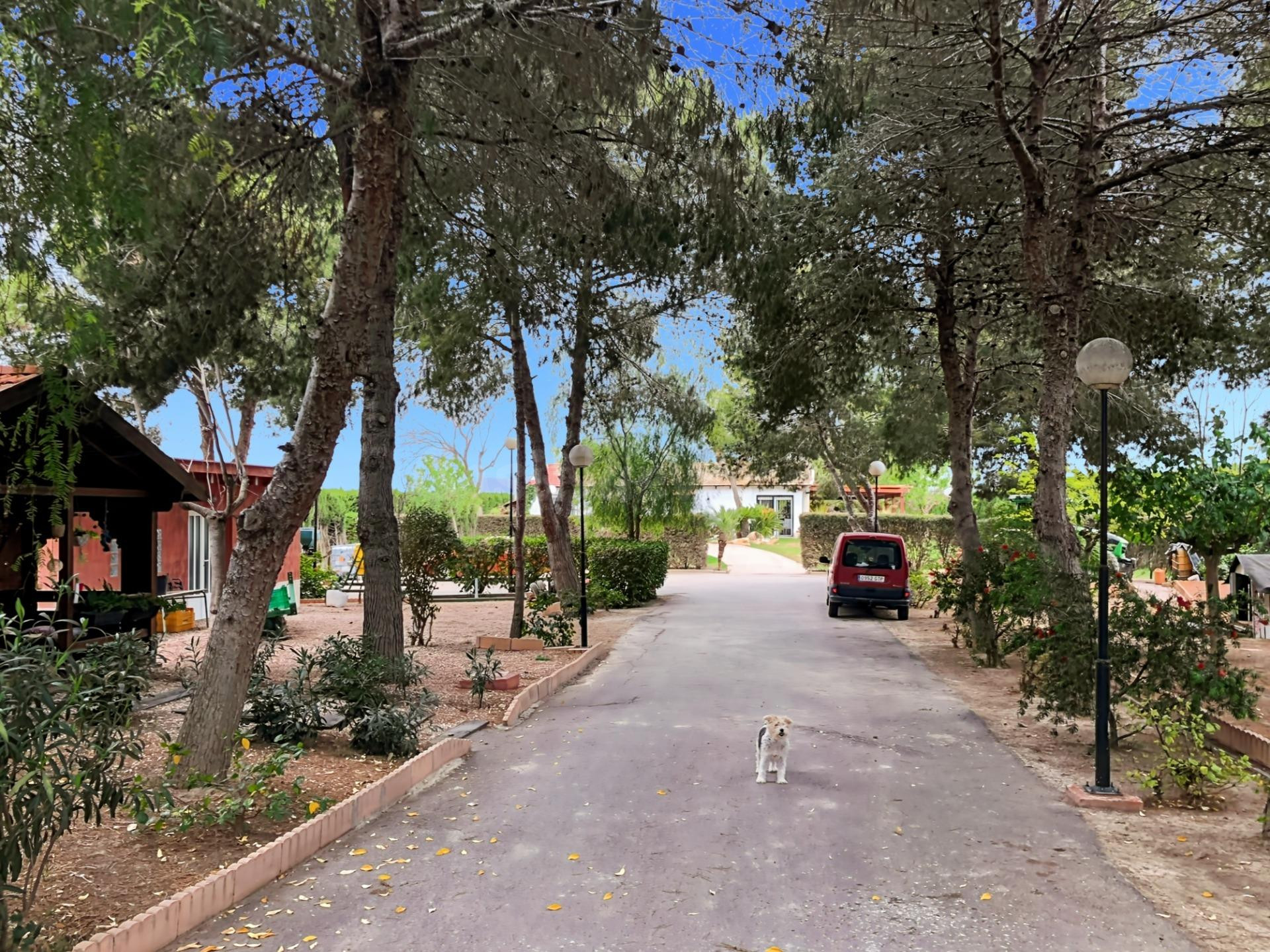 VILLA RUSTICA EN DOLORES - ALICANTE