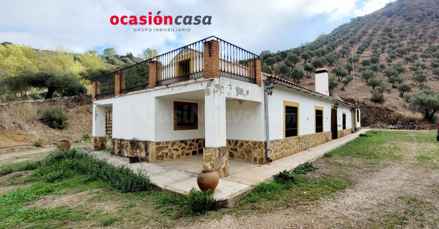 PRECIOSO OLIVAR CON CORTIJO