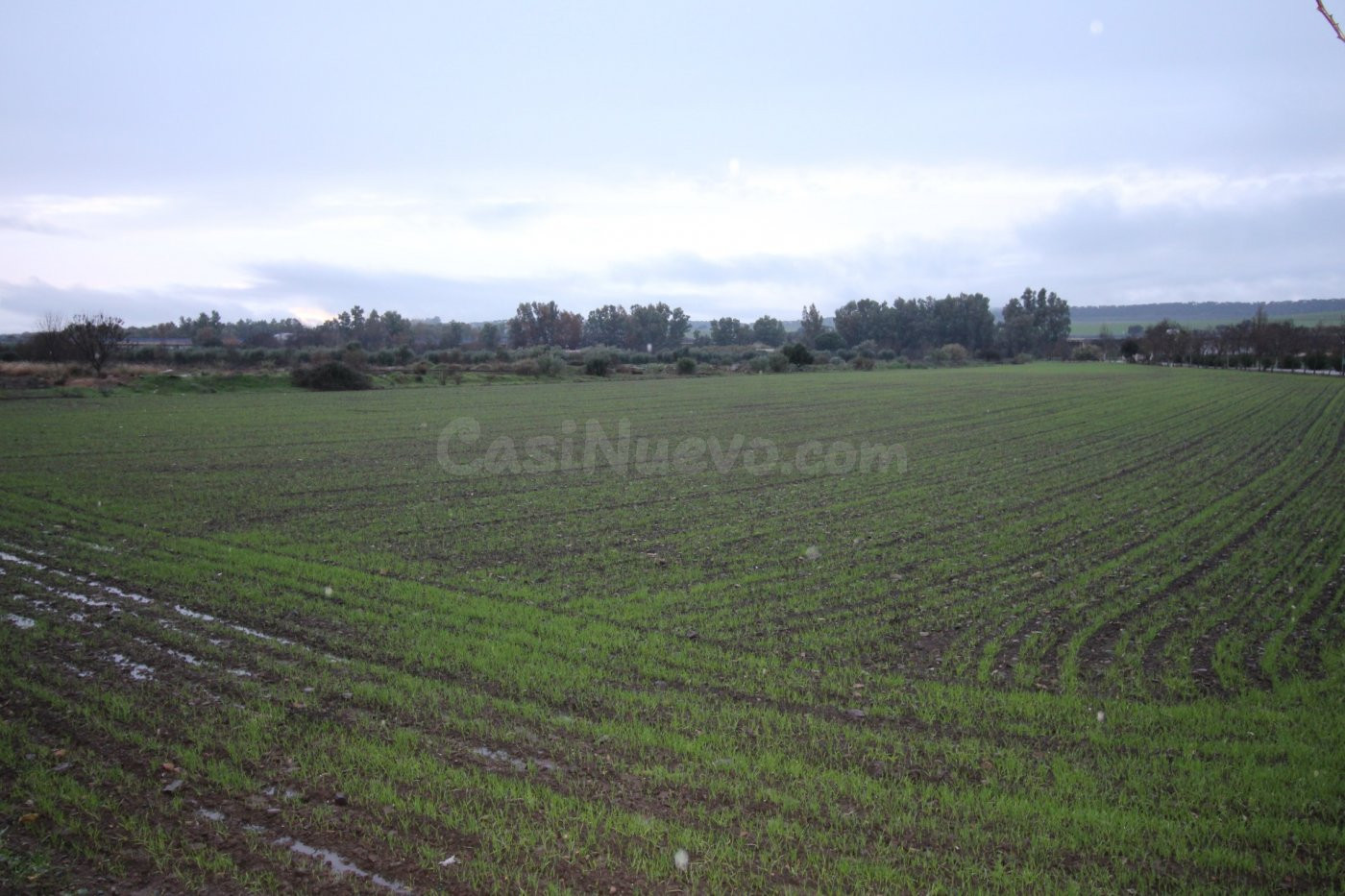 Suelo urbano en Aljucén