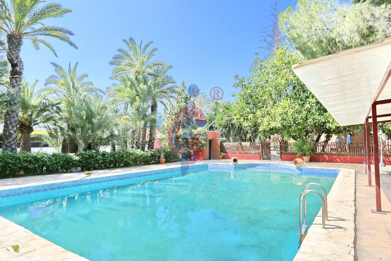 Impresionante chalet en venta con casi 10.000 metros de parcela en Albatera