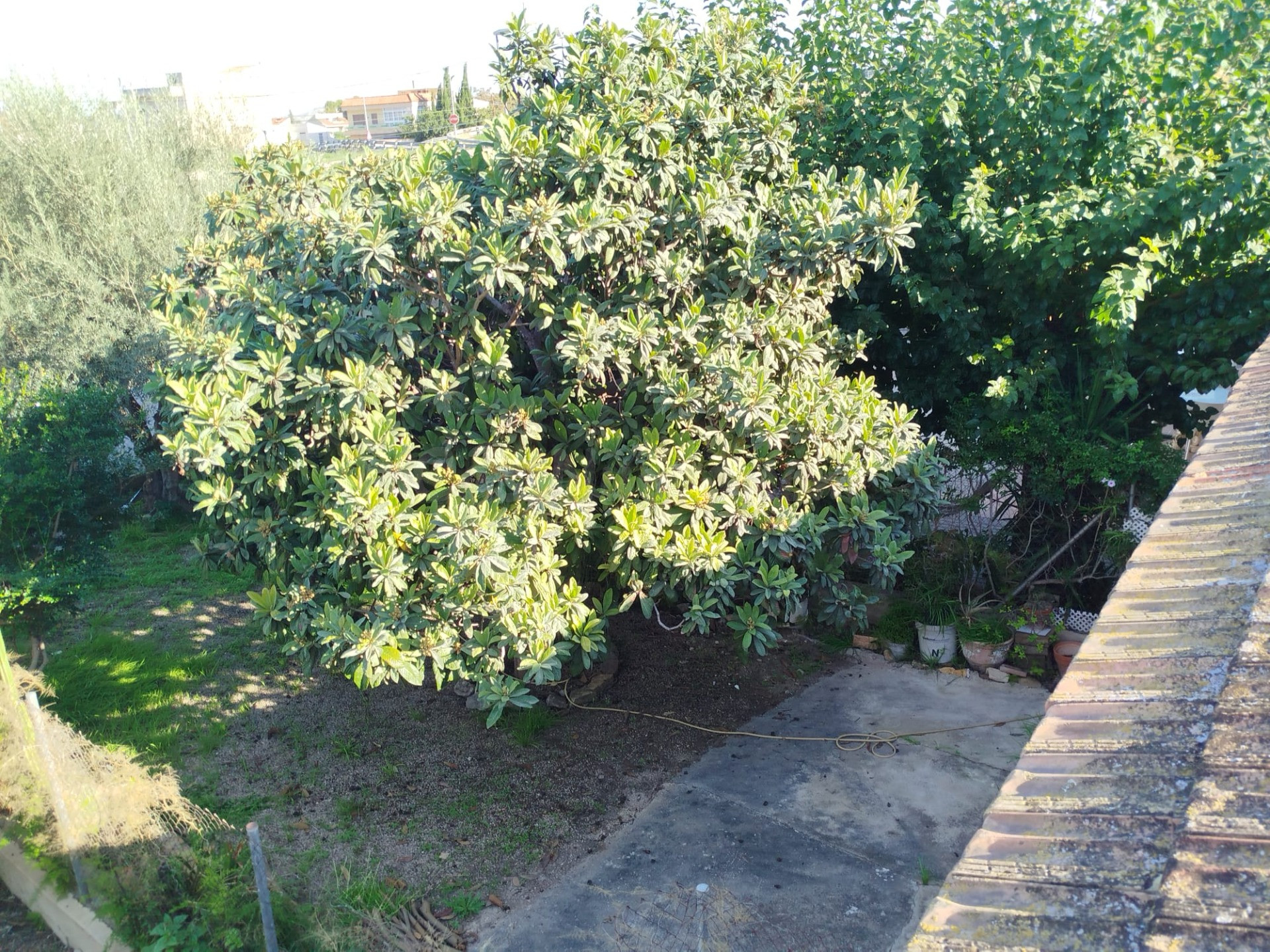 Relax y Naturaleza en la huerta de Murcia. - foto 4