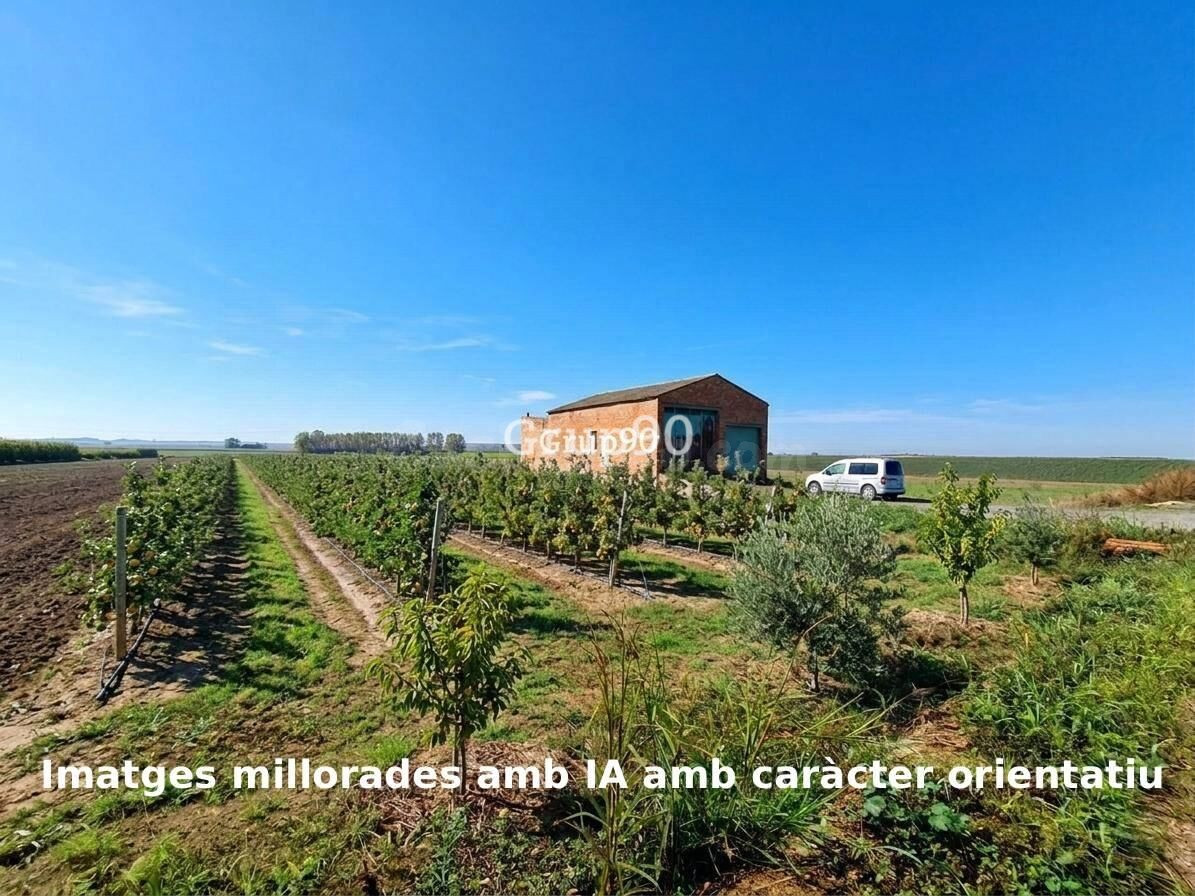 🌿 Finca de regadío con gran potencial en Alcoletge (Lleida)