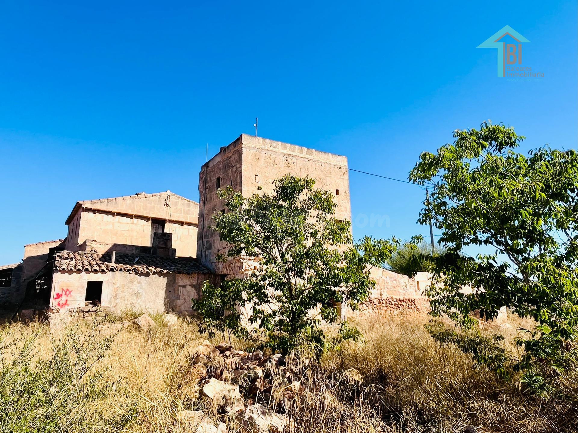 Finca rústica con terreno para renovar en Campos. - foto 2