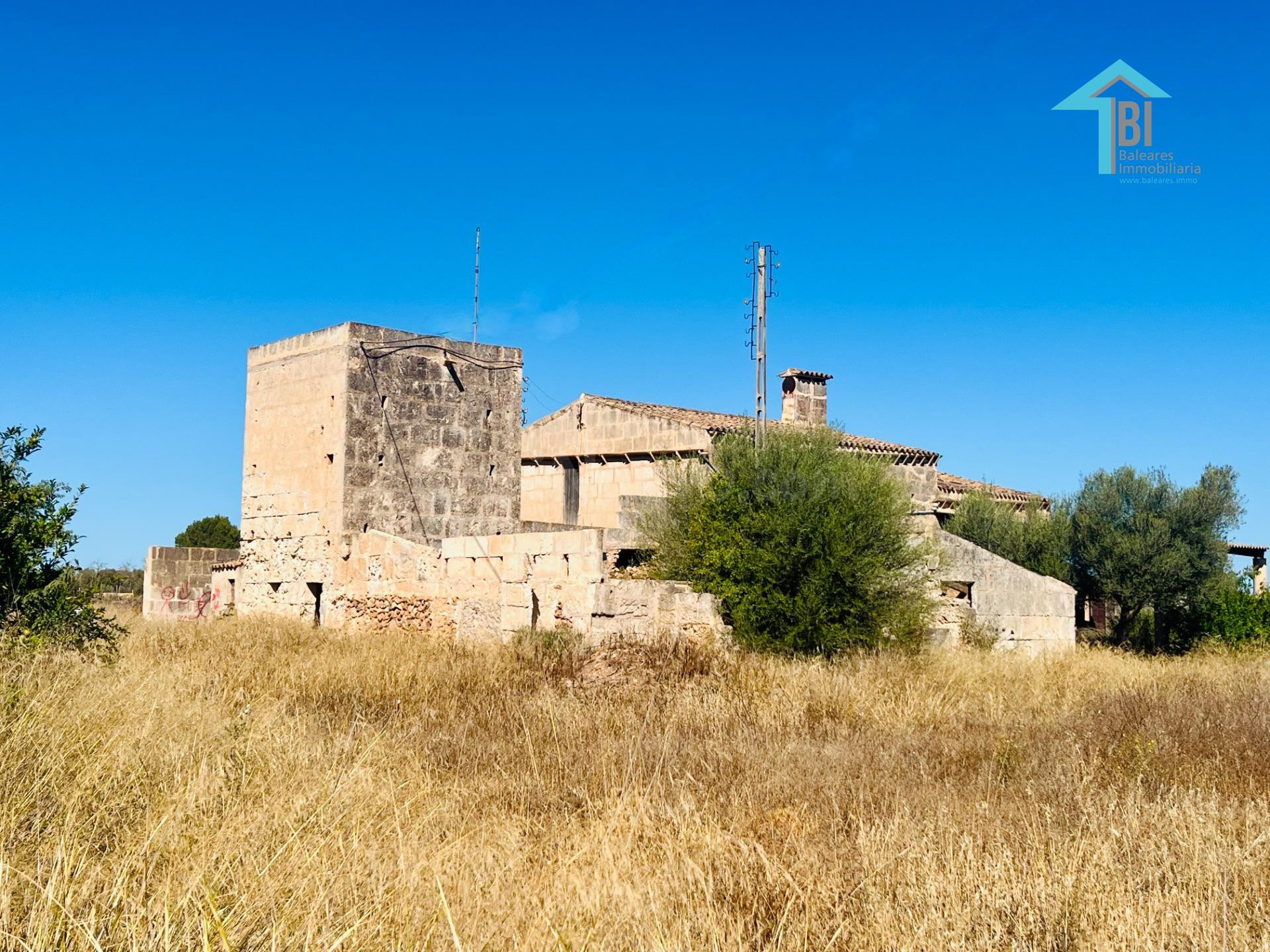 Finca rústica con terreno para renovar en Campos. - foto 3