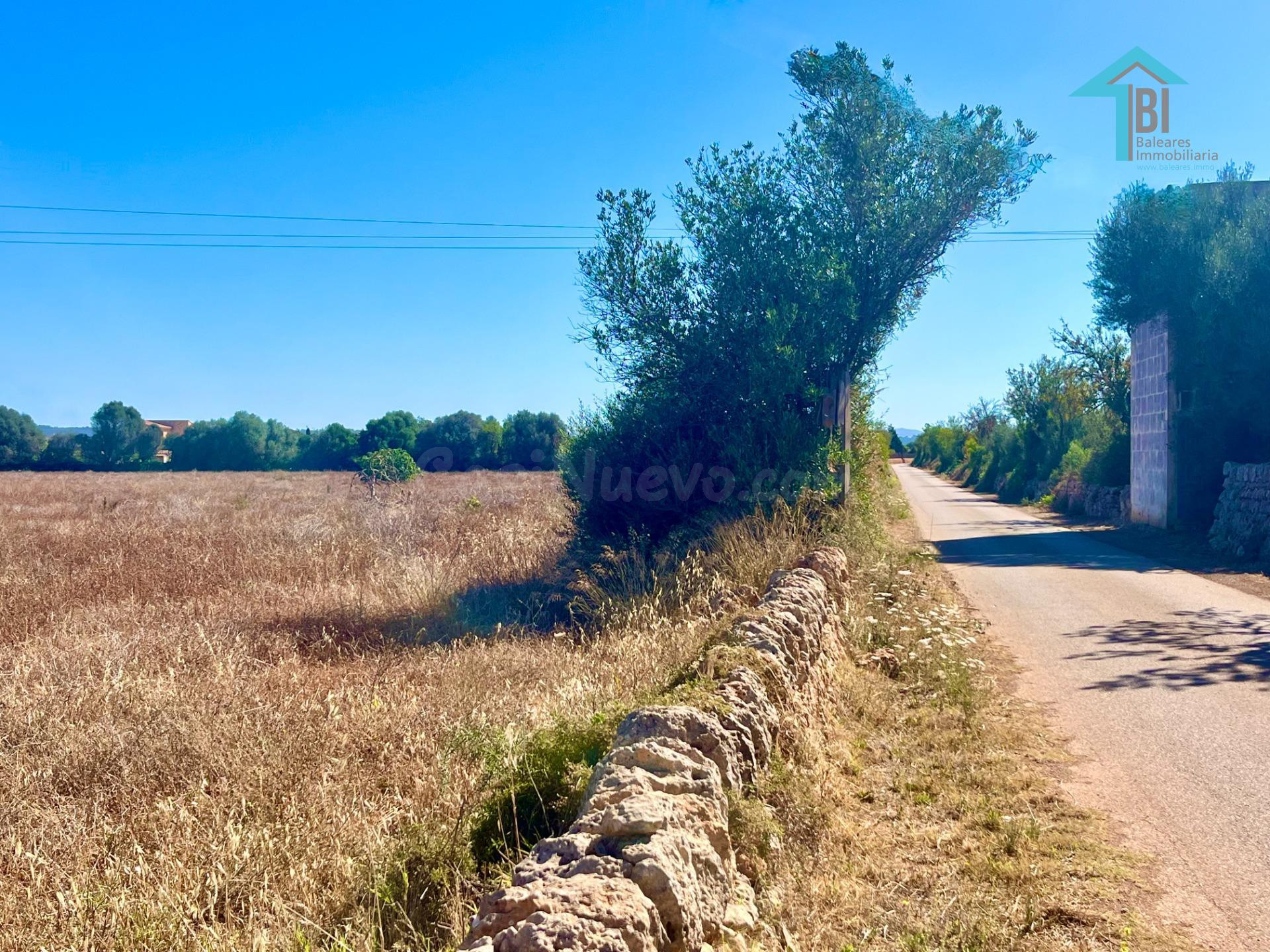 Finca rústica con terreno para renovar en Campos. - foto 4