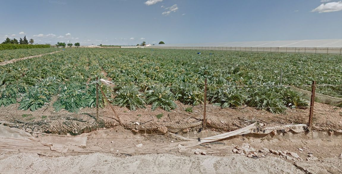 Venta de Finca Rústica en Polígono Los Lorcas Nº 27 San Javier (Murcia)