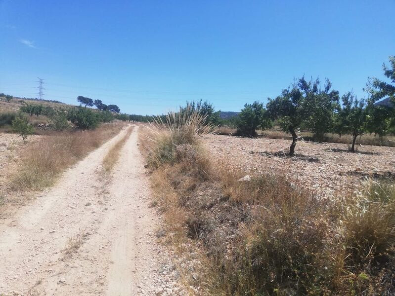 Terreno en Abanilla con una superficie total de 12.560 m2 - foto 3