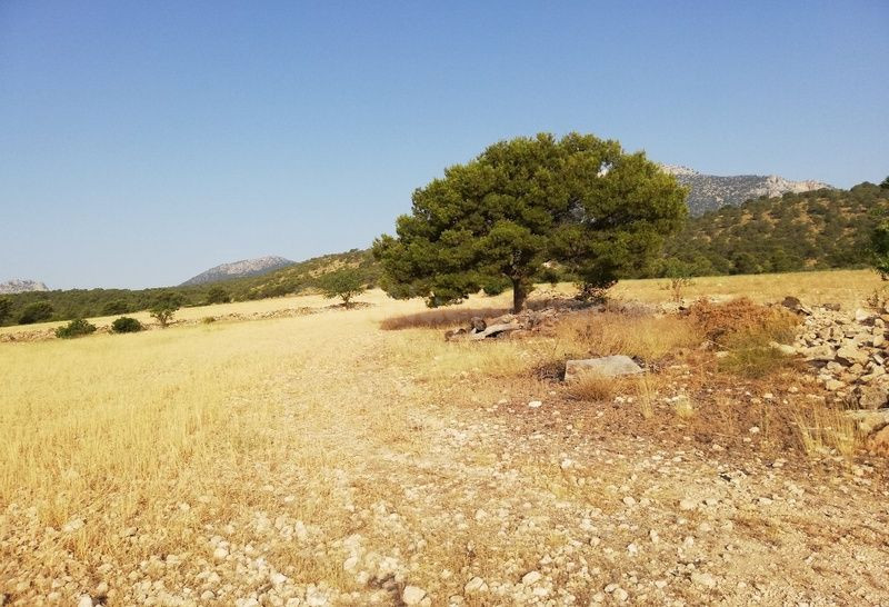 Venta de Finca Rústica en Polígono Aguica M. Lorca Nº 80