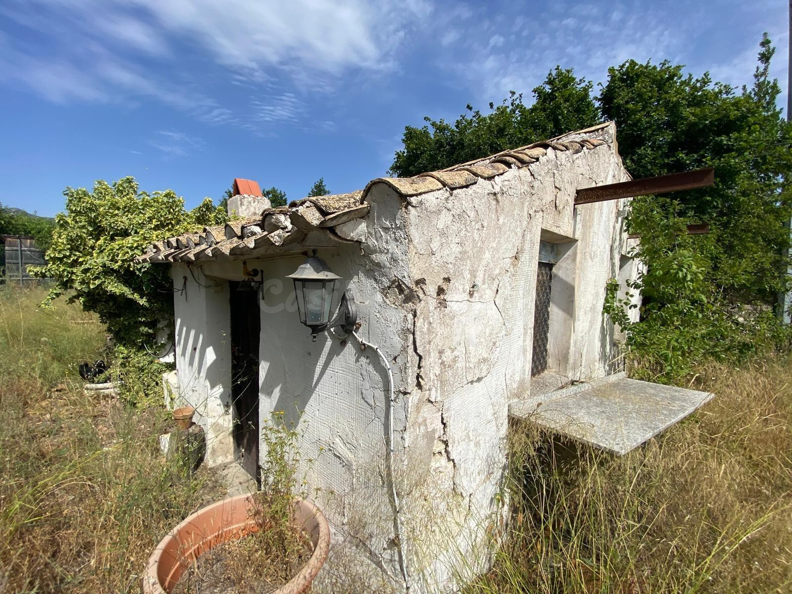 FINCA RUSTICA EN MORATALLA - foto 2