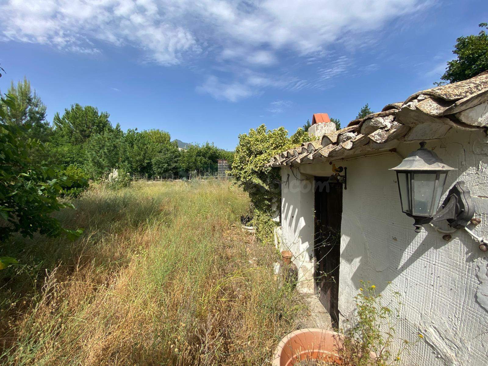 FINCA RUSTICA EN MORATALLA - foto 3