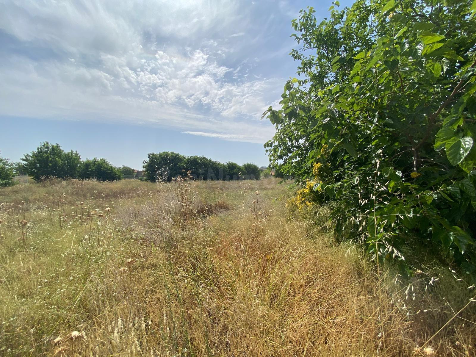 FINCA RUSTICA EN MORATALLA - foto 4
