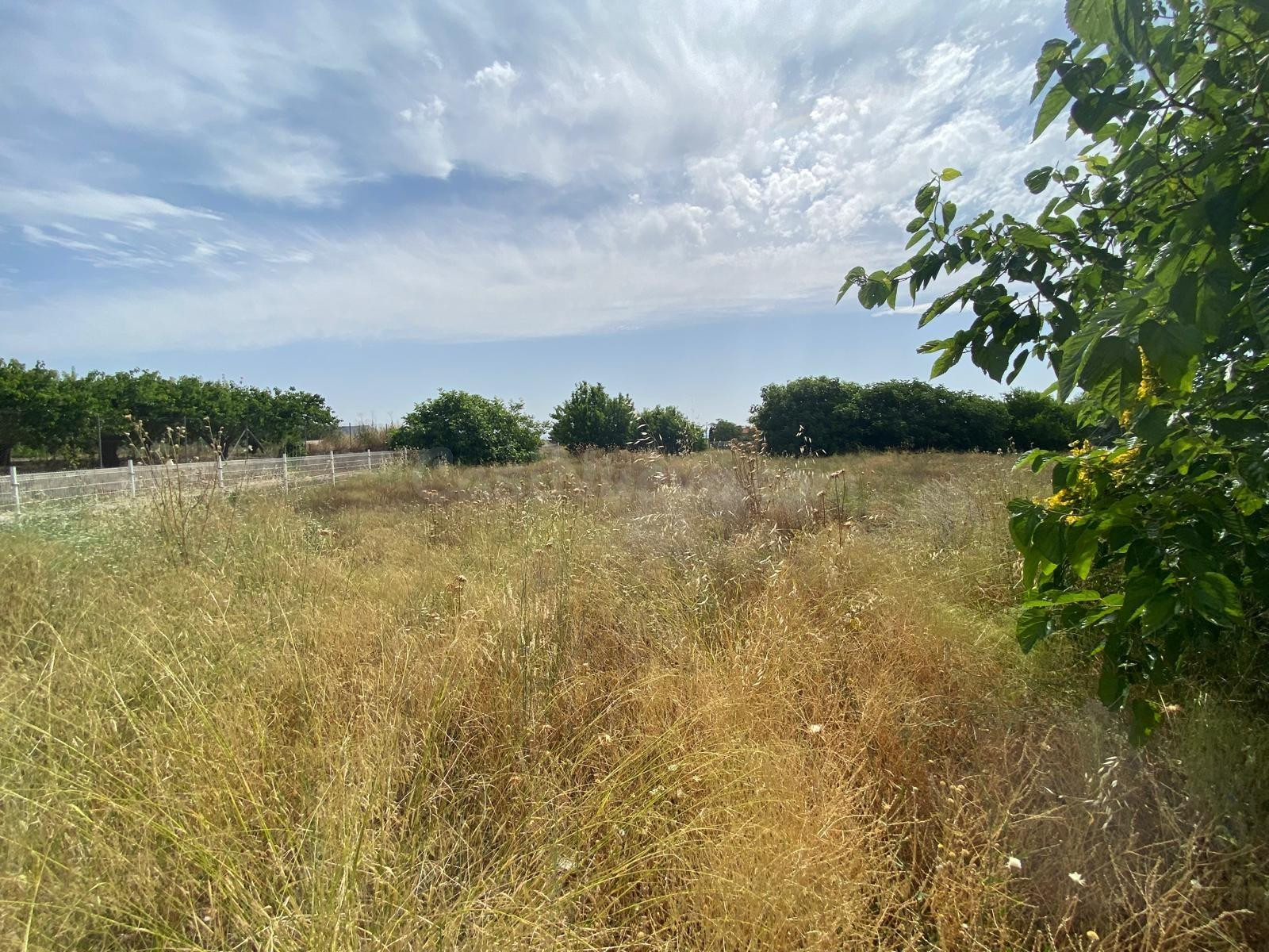 FINCA RUSTICA EN MORATALLA - foto 5