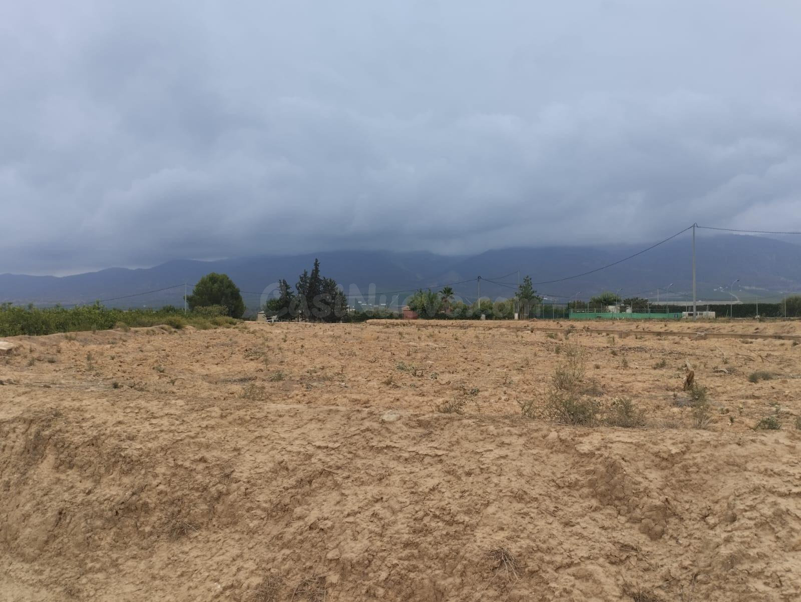 Terreno Rustico- con uso agrario en Librilla
