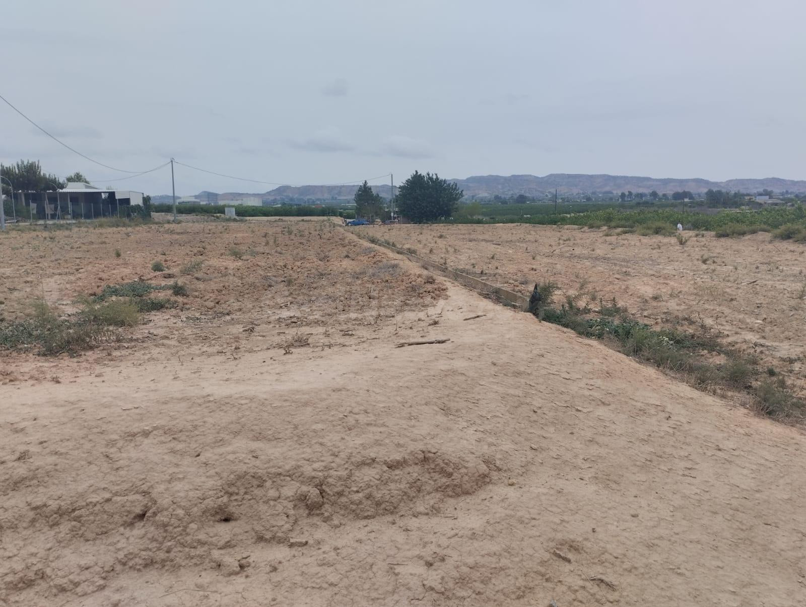 Terreno Rustico- con uso agrario en Librilla - foto 3