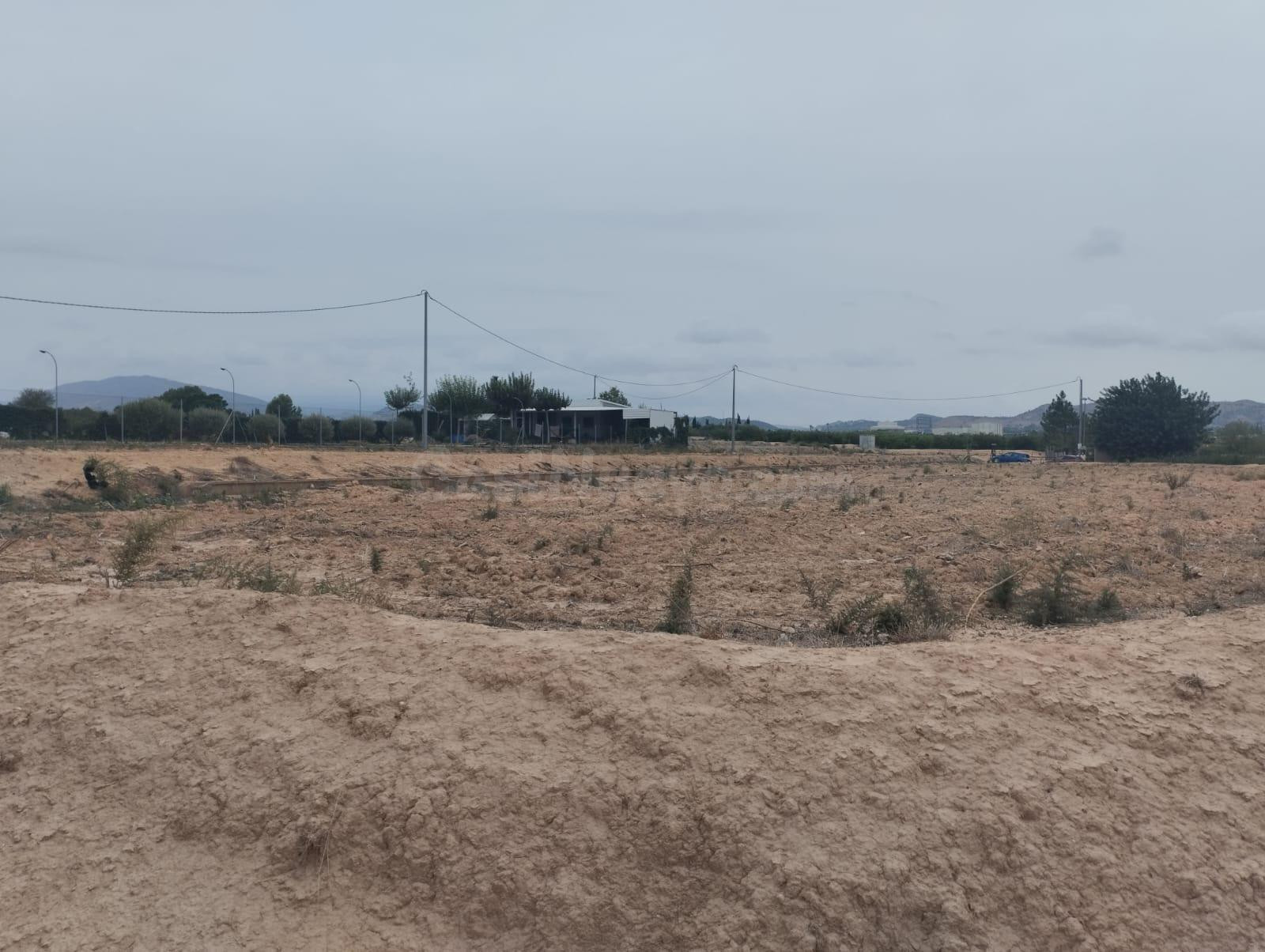 Terreno Rustico- con uso agrario en Librilla - foto 4