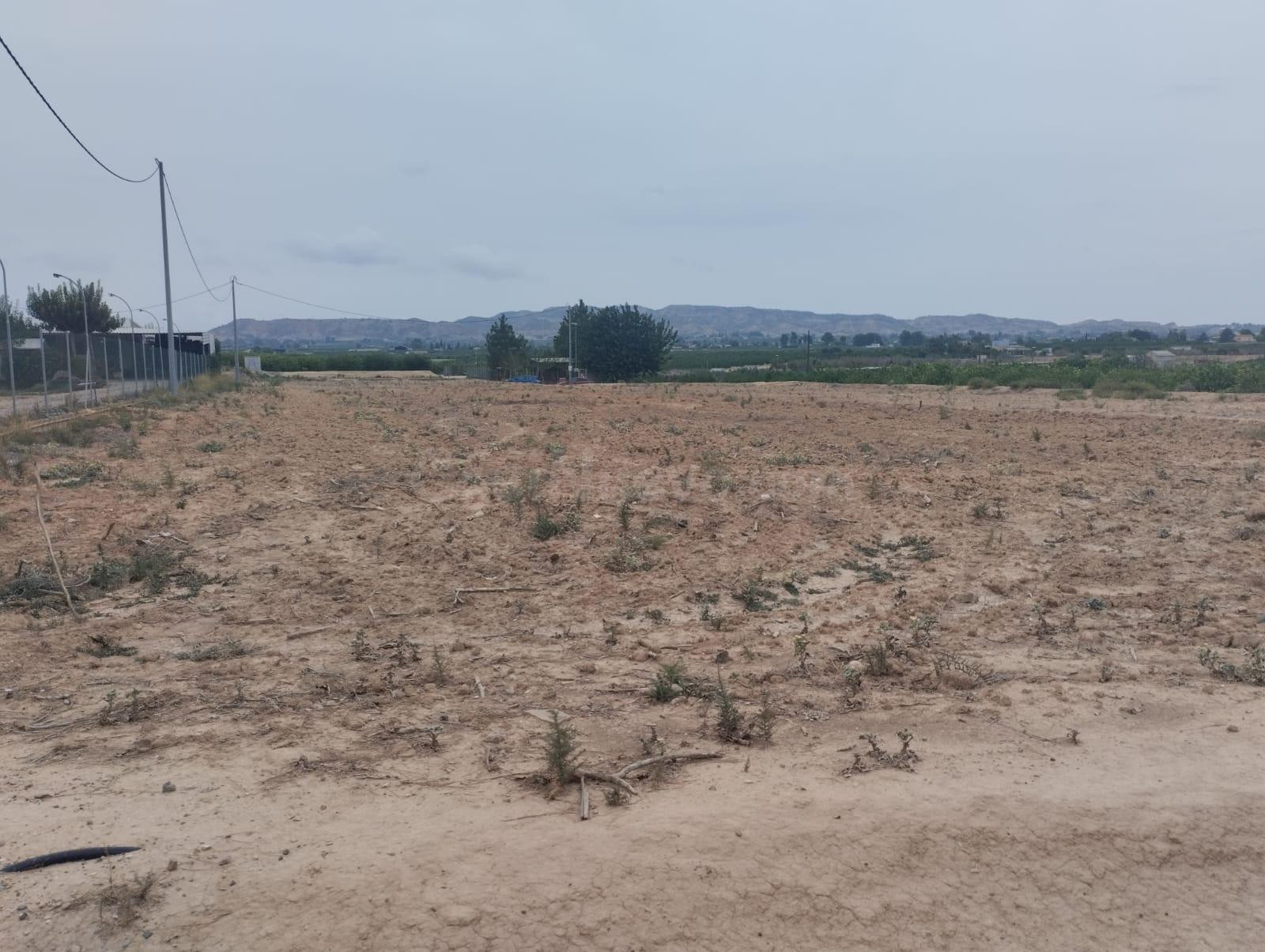 Terreno Rustico- con uso agrario en Librilla - foto 5