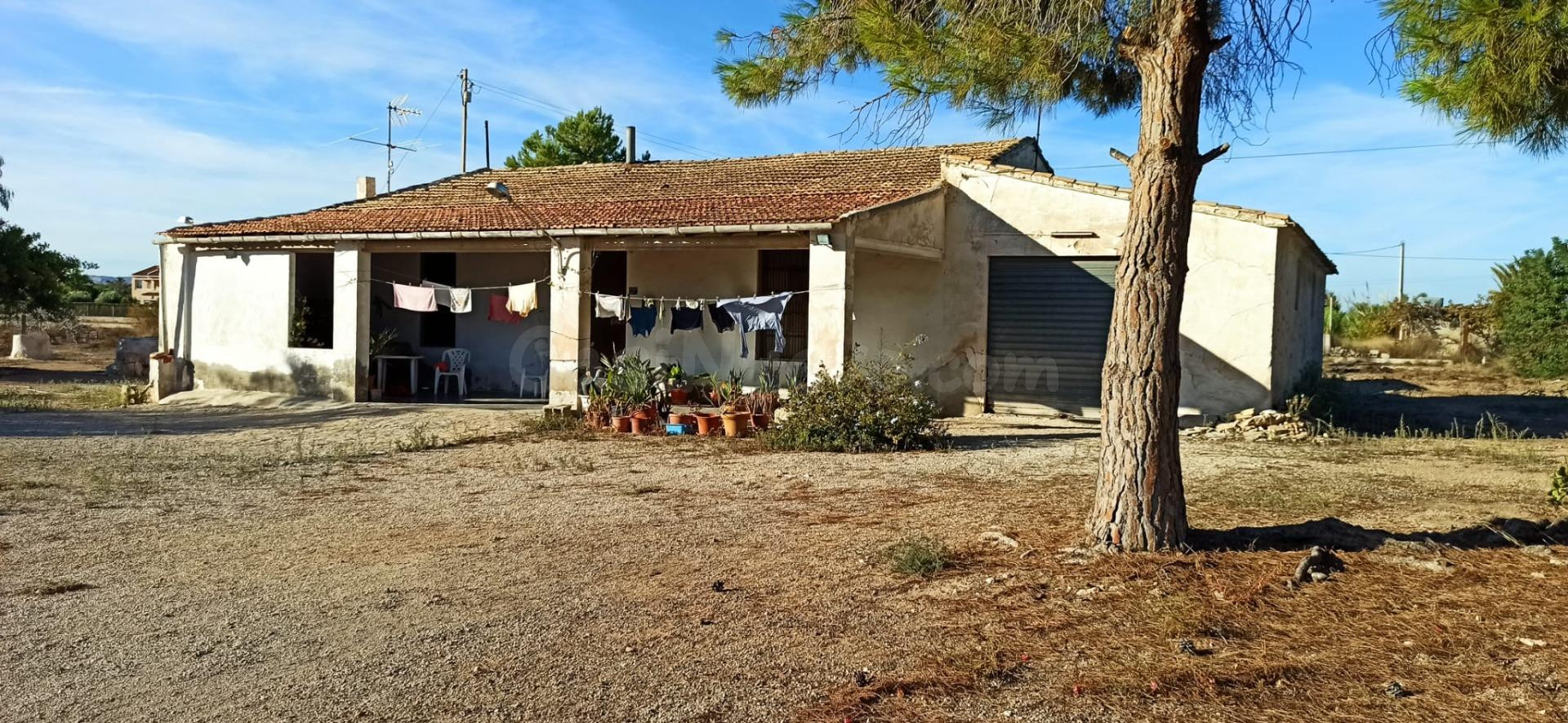 CASA DE CAMPO AUTOCTONA DE ELCHE