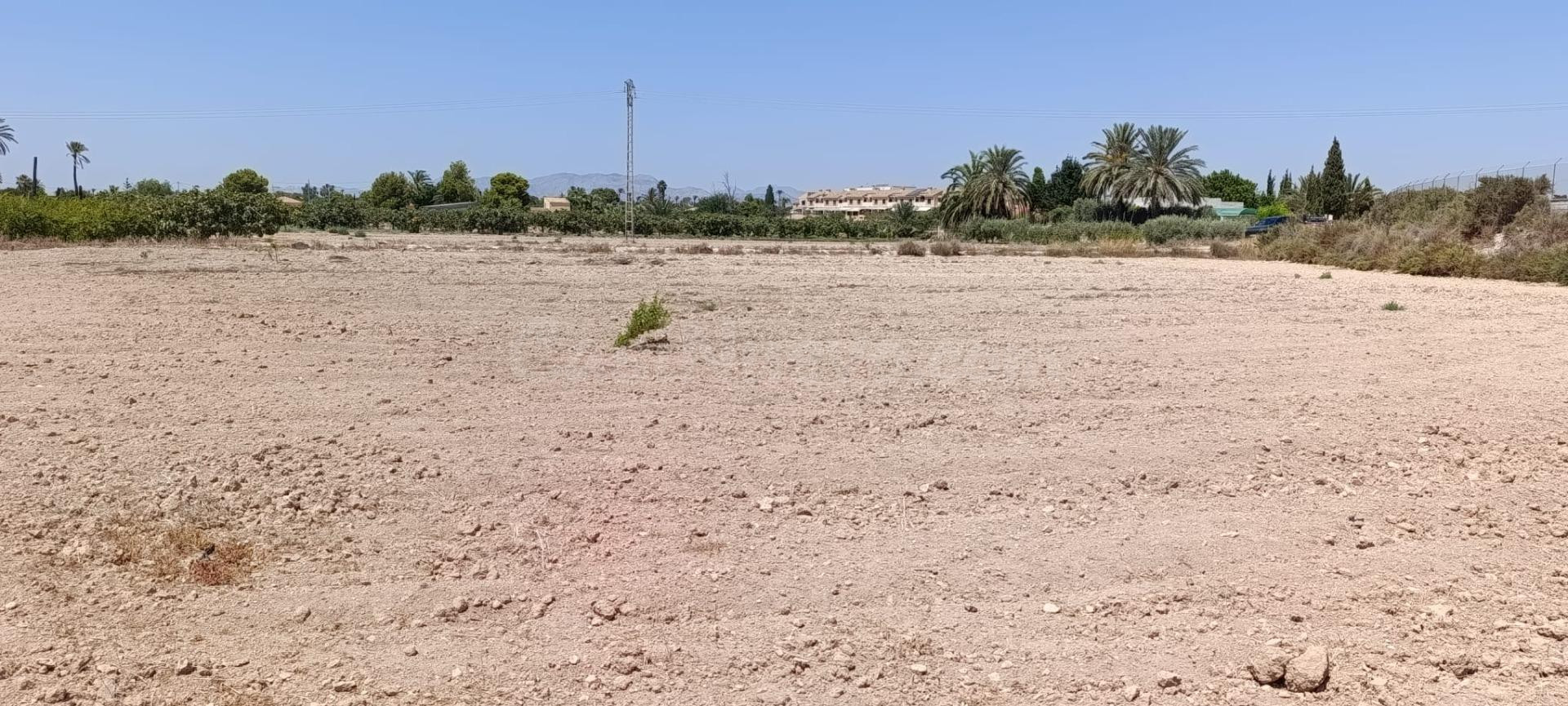 Terreno urbanizable en Elche pedanias zona Perleta