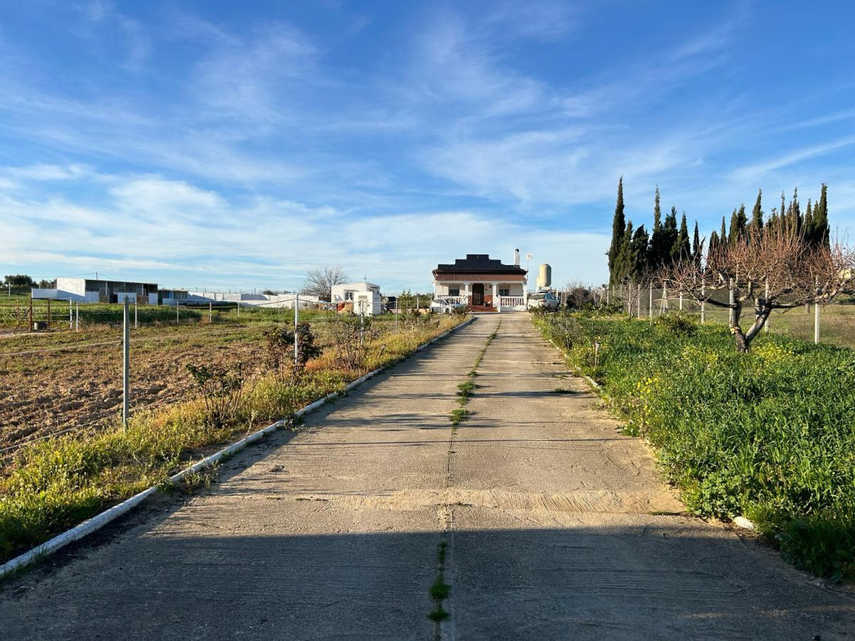 GRAN CAMPO PARA VIVIR EN PLENA NATURALEZA EN BOLLULLOS DEL C