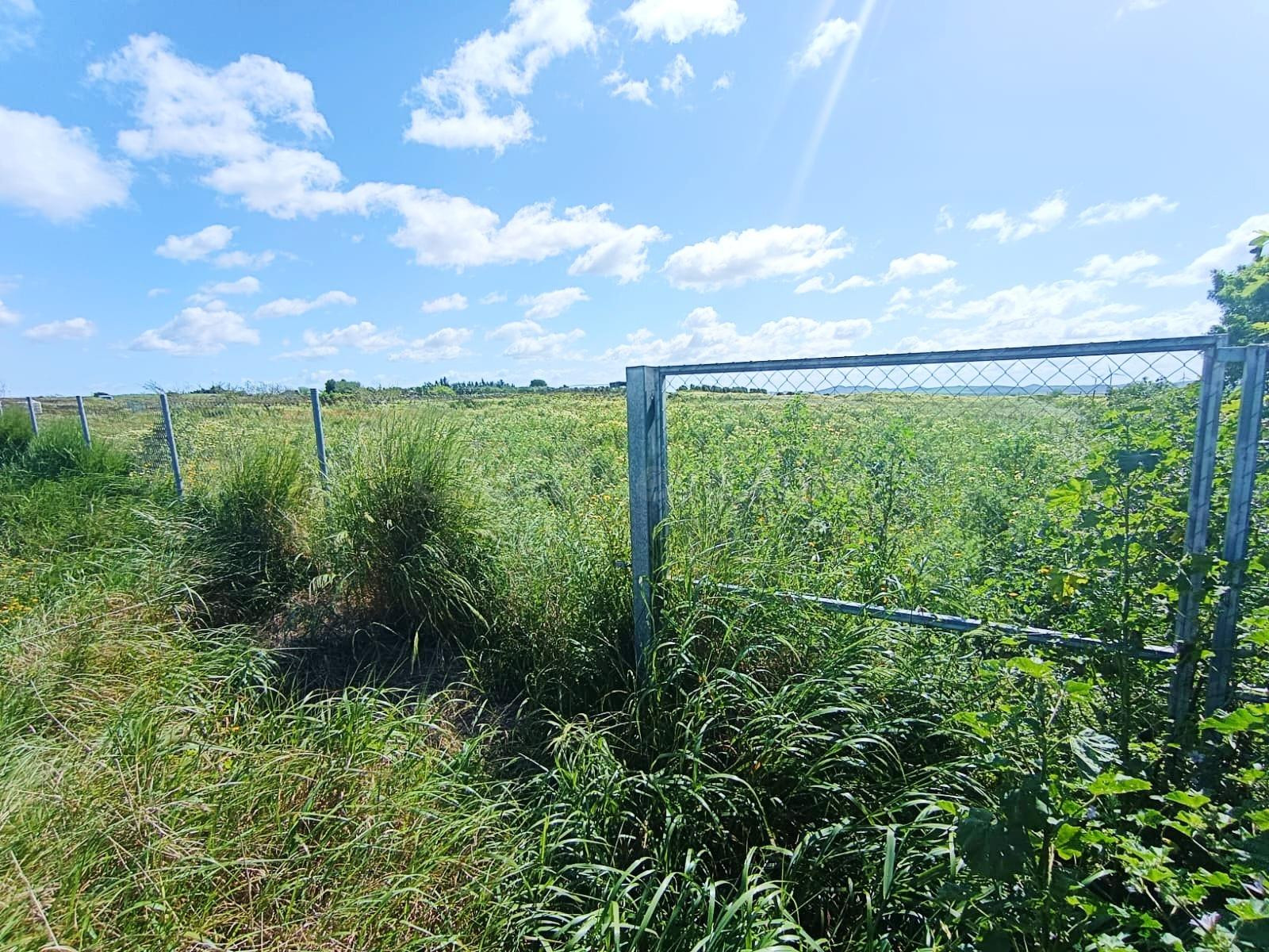 🌱ASOMBROSA PARCELA DE 3353 m2 EN  EL MARQUESADO (MIRALAMAR)🌱 - foto 2