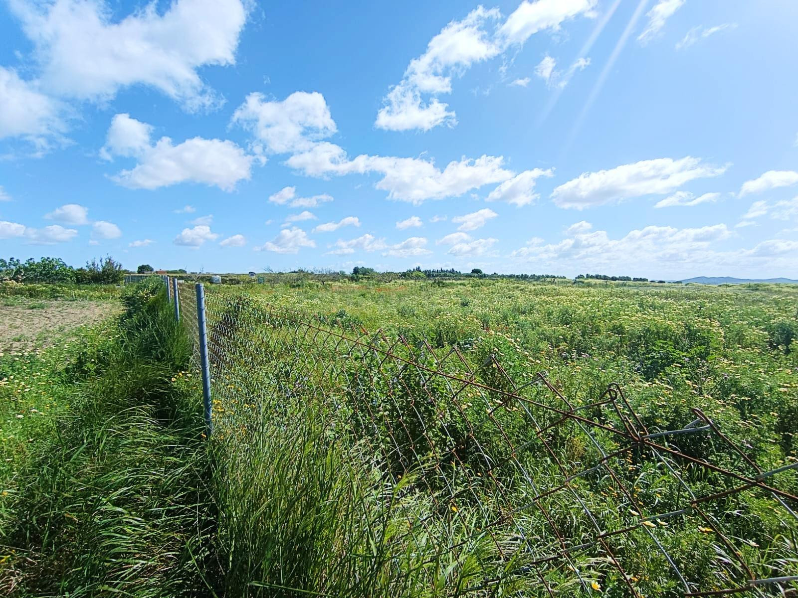 🌱ASOMBROSA PARCELA DE 3353 m2 EN  EL MARQUESADO (MIRALAMAR)🌱 - foto 3