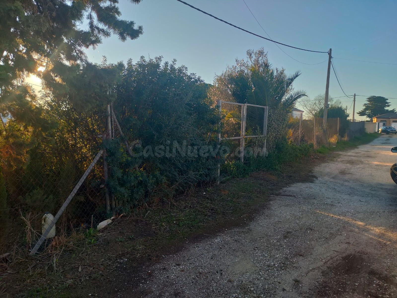 ¡OPORTUNIDAD ÚNICA! 🌳PARCELA SEGREGADA DE 960M2 EN LA ZONA DE LA COQUINA🌳 - foto 2