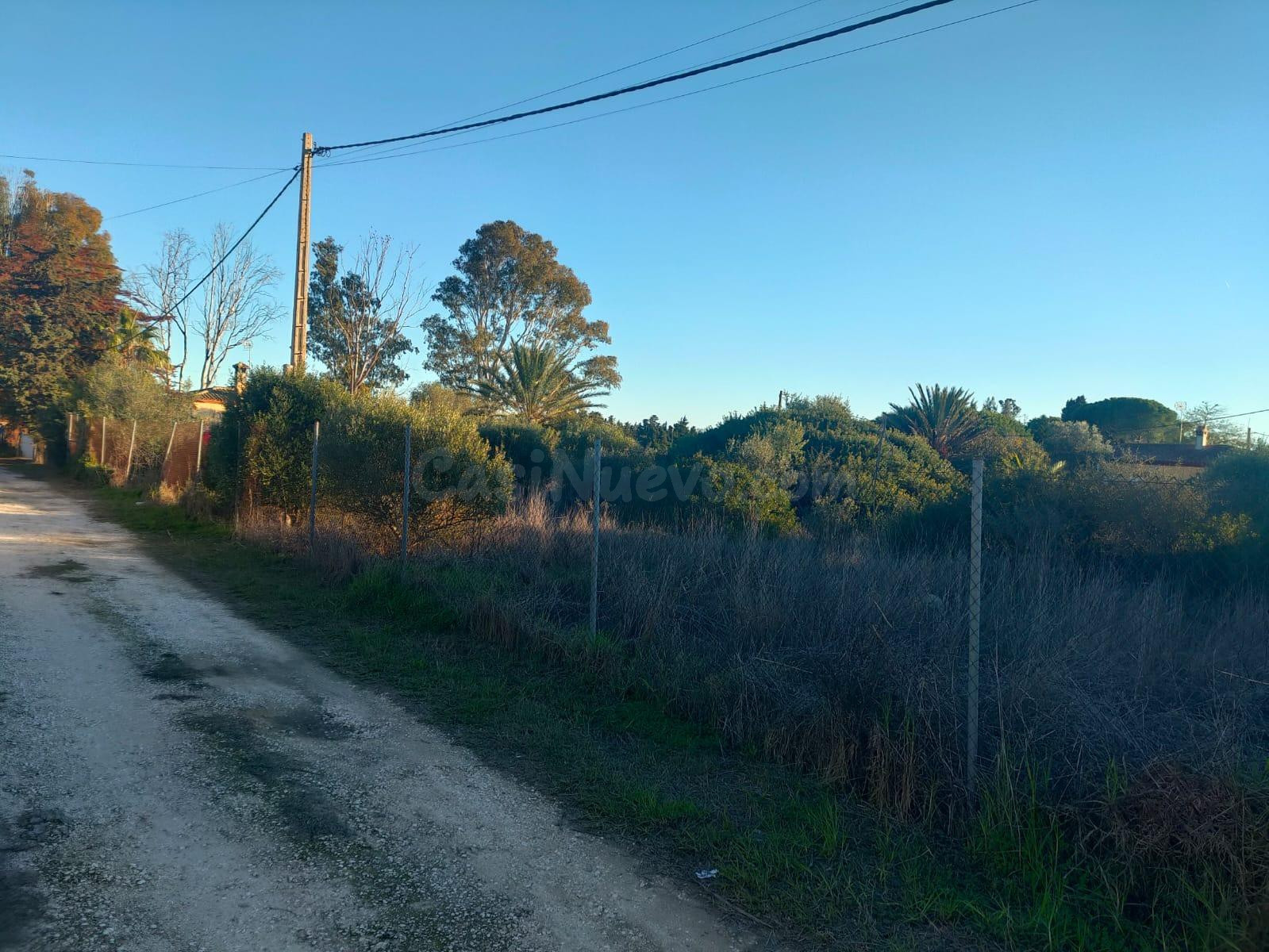 ¡OPORTUNIDAD ÚNICA! 🌳PARCELA SEGREGADA DE 960M2 EN LA ZONA DE LA COQUINA🌳 - foto 4