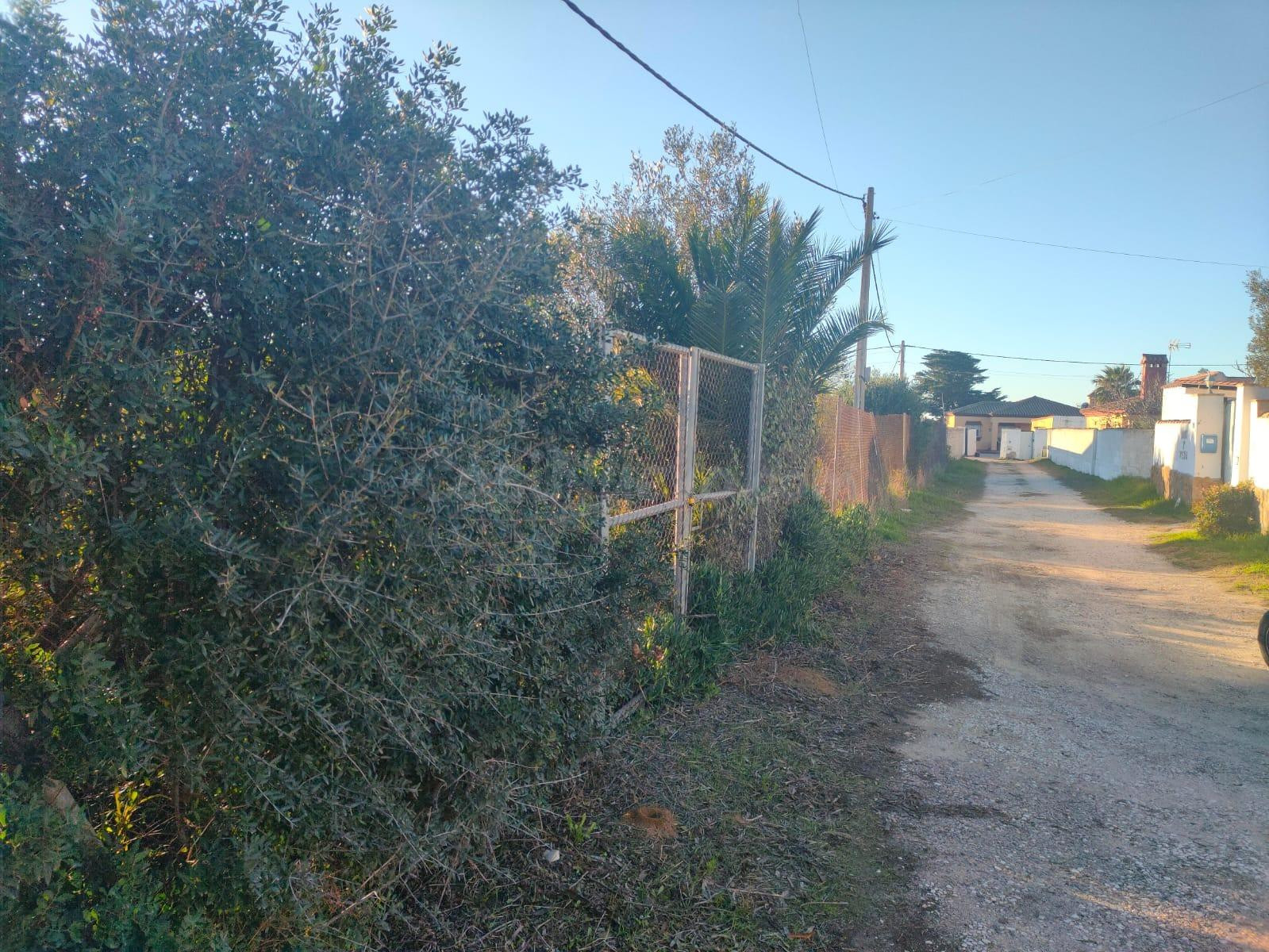 ¡OPORTUNIDAD ÚNICA! 🌳PARCELA SEGREGADA DE 960M2 EN LA ZONA DE LA COQUINA🌳 - foto 5