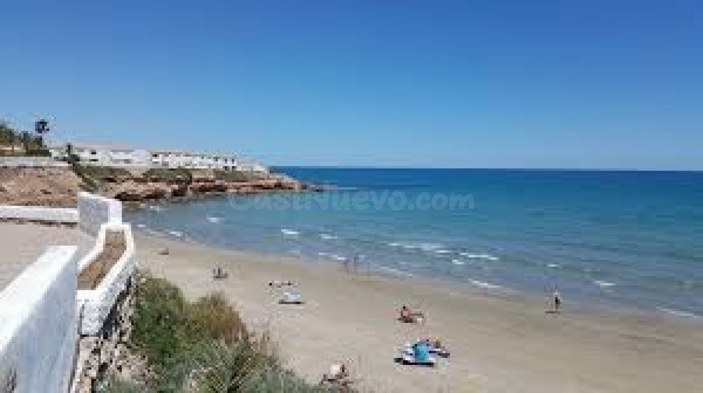 Terreno urbano en Nueva Torrevieja ,buen precio