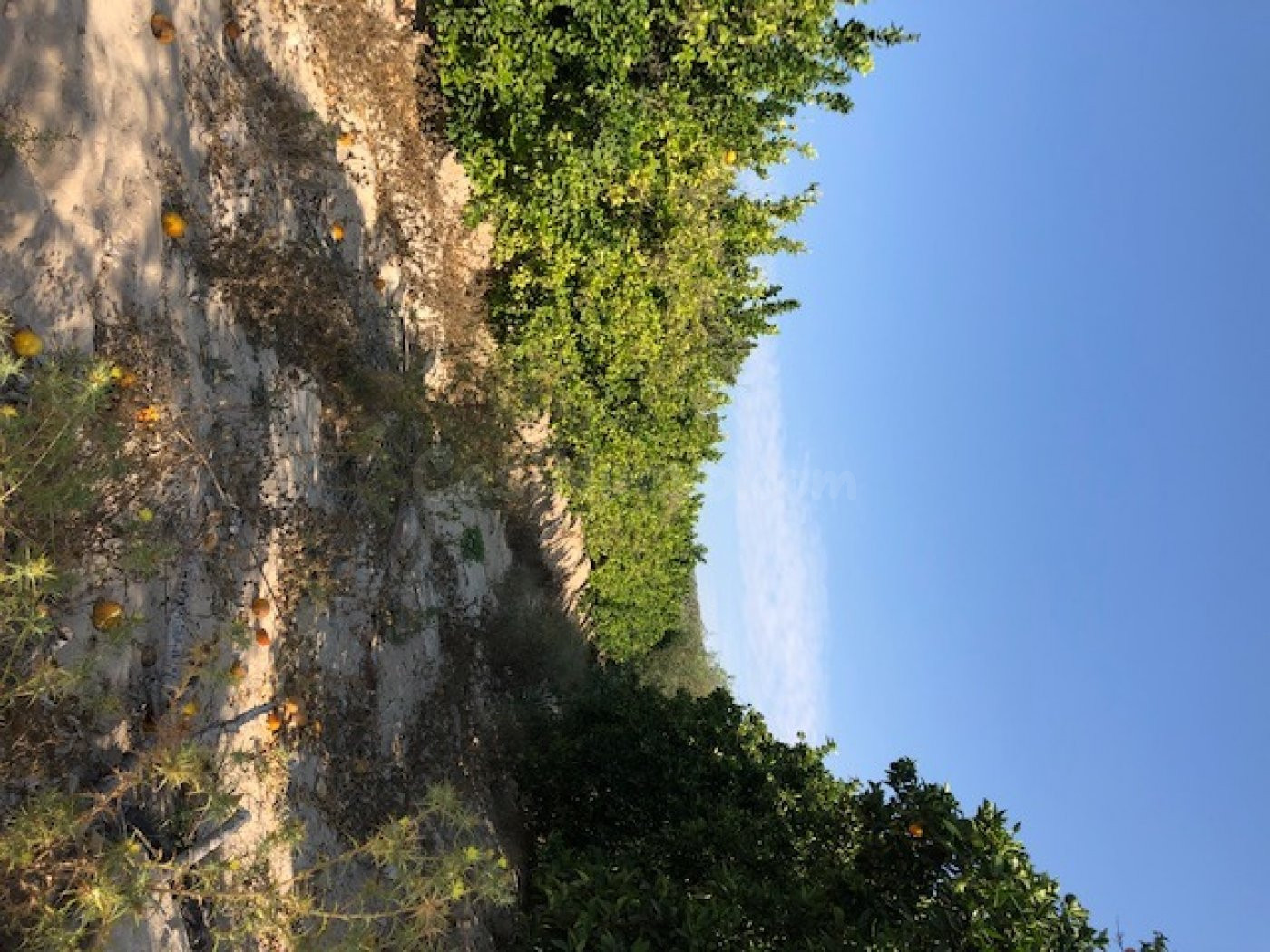 Finca rustica de 283000 m2.posibilidad montar placas fotovoltaicas