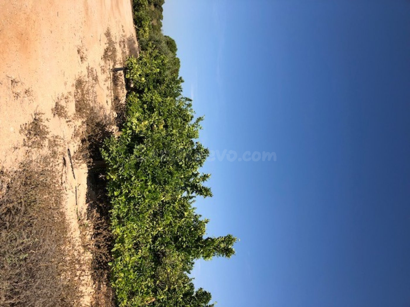 Finca rustica de 226 HECTAREAS .posibilidad montar placas fo - foto 3