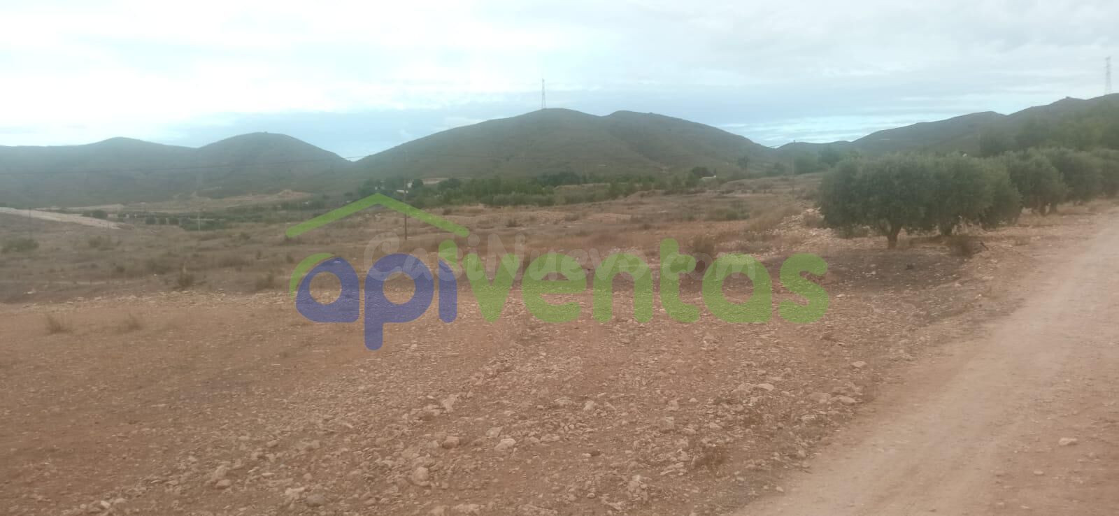 Parcela en Purias con licencia y proyecto