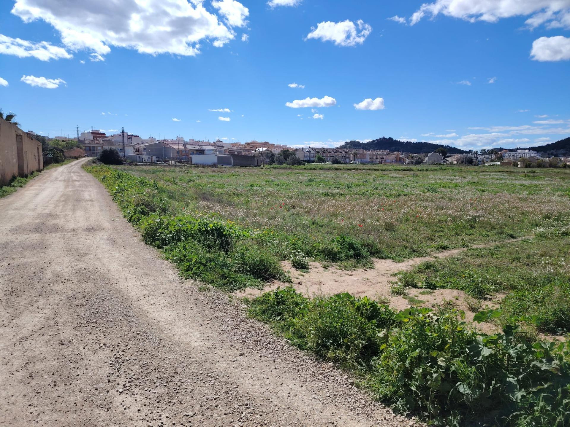 Parcela de más de 3.000 m2 enclavada en el SRE-2 de Llíria (Censals)