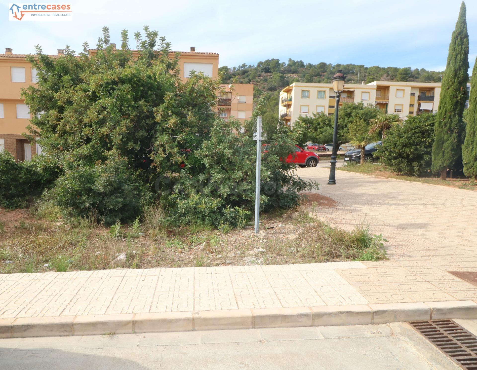 ¡Construye tu hogar en Petrés! Parcela urbana única, da a 2  - foto 2