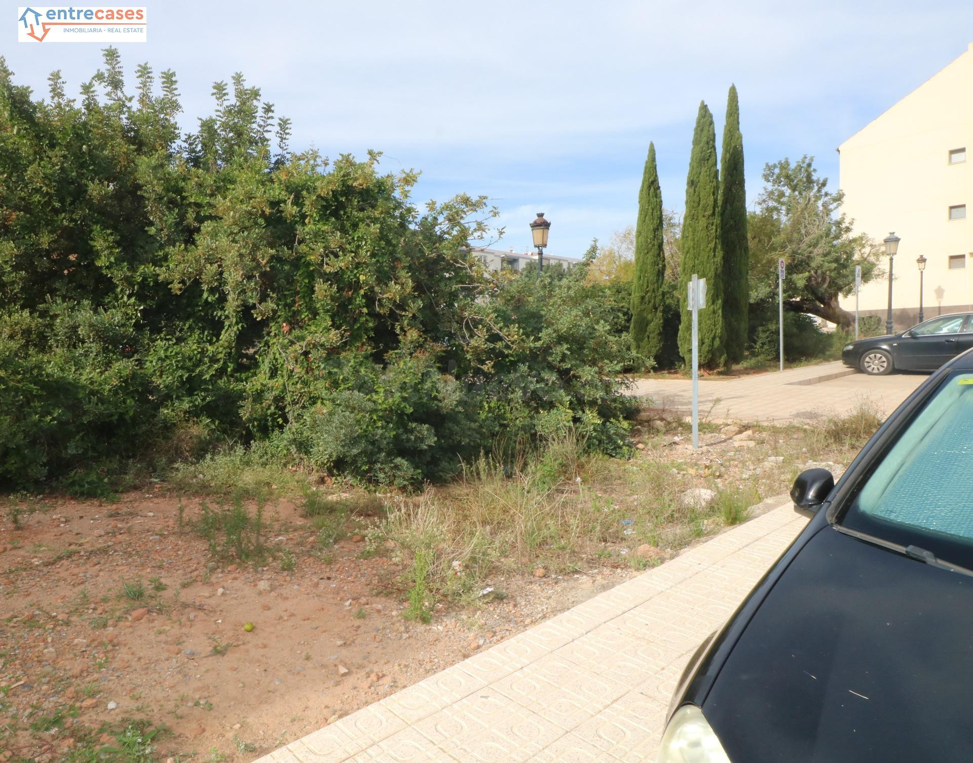¡Construye tu hogar en Petrés! Parcela urbana única, da a 2  - foto 3